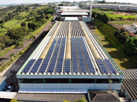 Qualitas Atuando na Preservação do Meio Ambiente